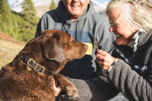 Canine Chronicles Tales from the Kennel