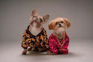 Puppy Love A Heartwarming Tale